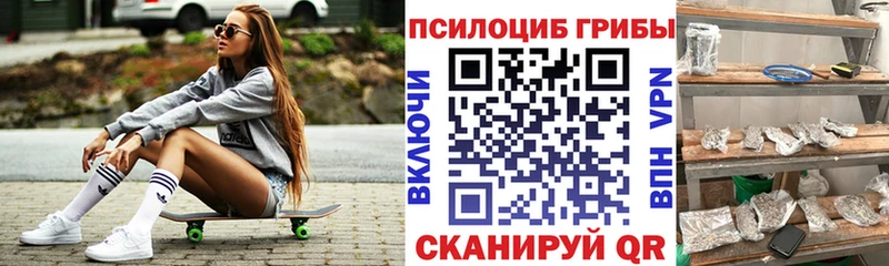 Галлюциногенные грибы Magic Shrooms Купить закладки Курлово